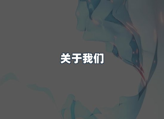 专业团队